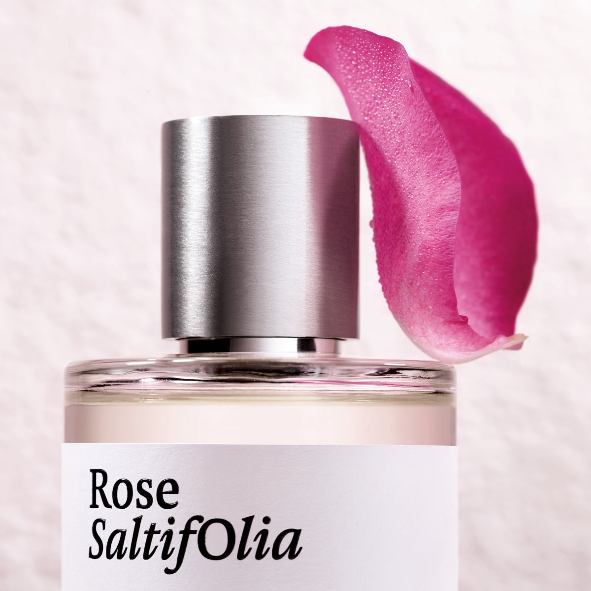 Rose Saltifolia EDP