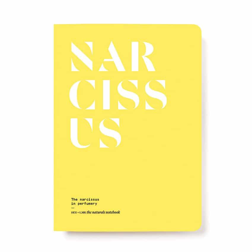 The Narcissus in Perfumery