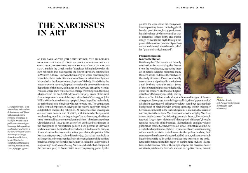 The Narcissus in Perfumery