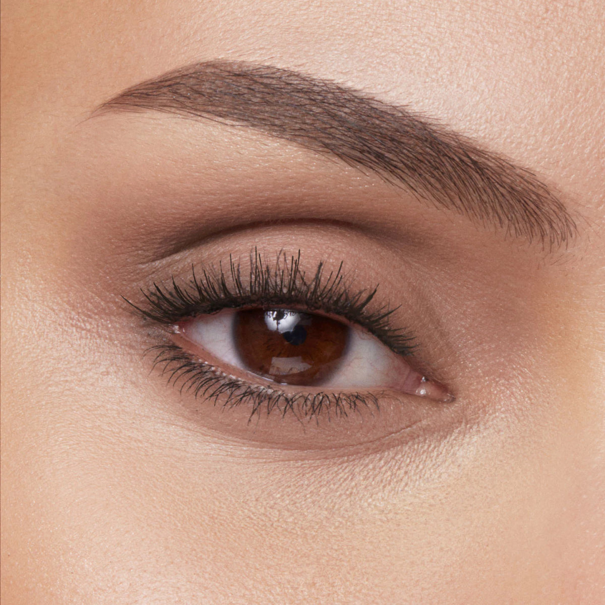 Eyeshadow Palette Refill