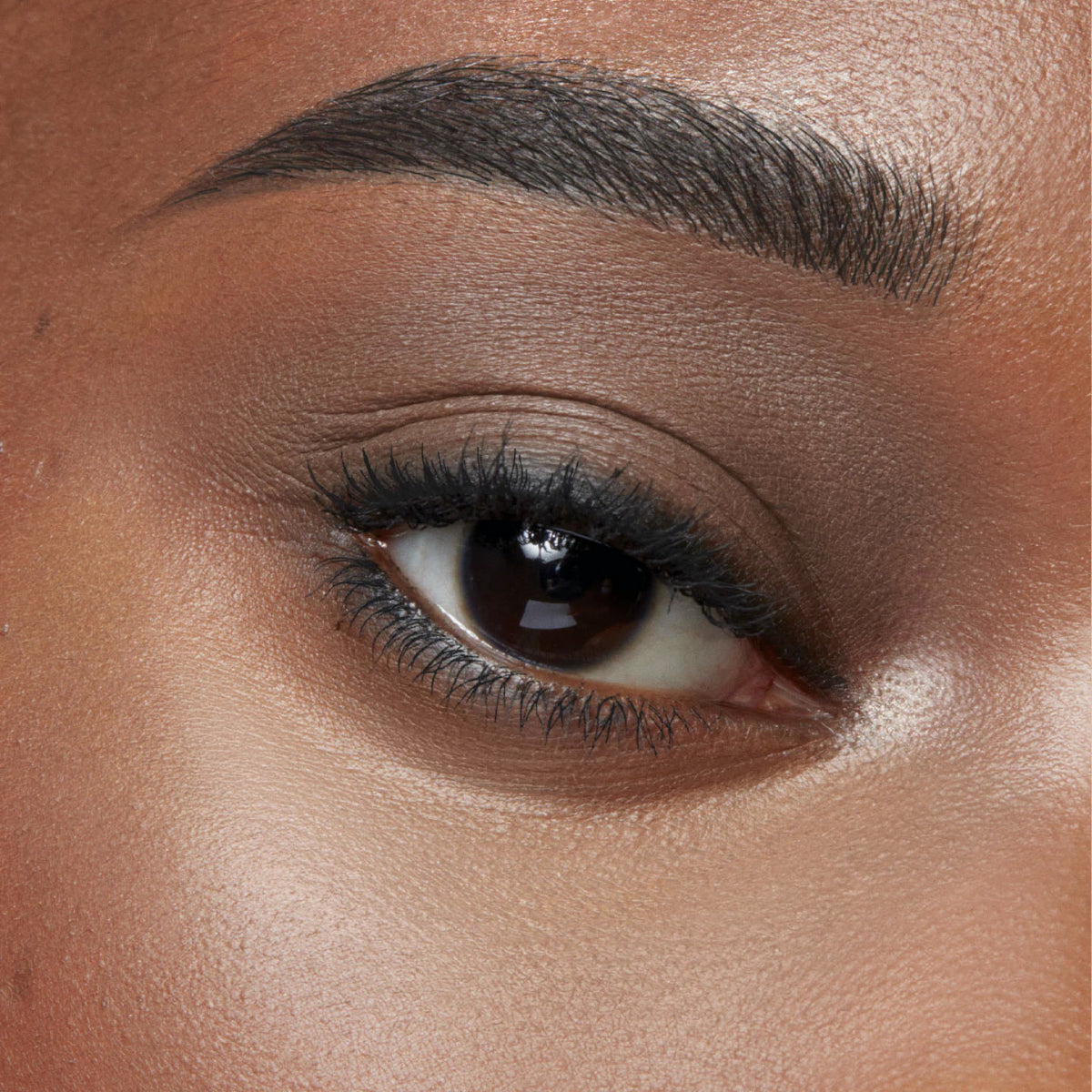 Eyeshadow Palette Refill
