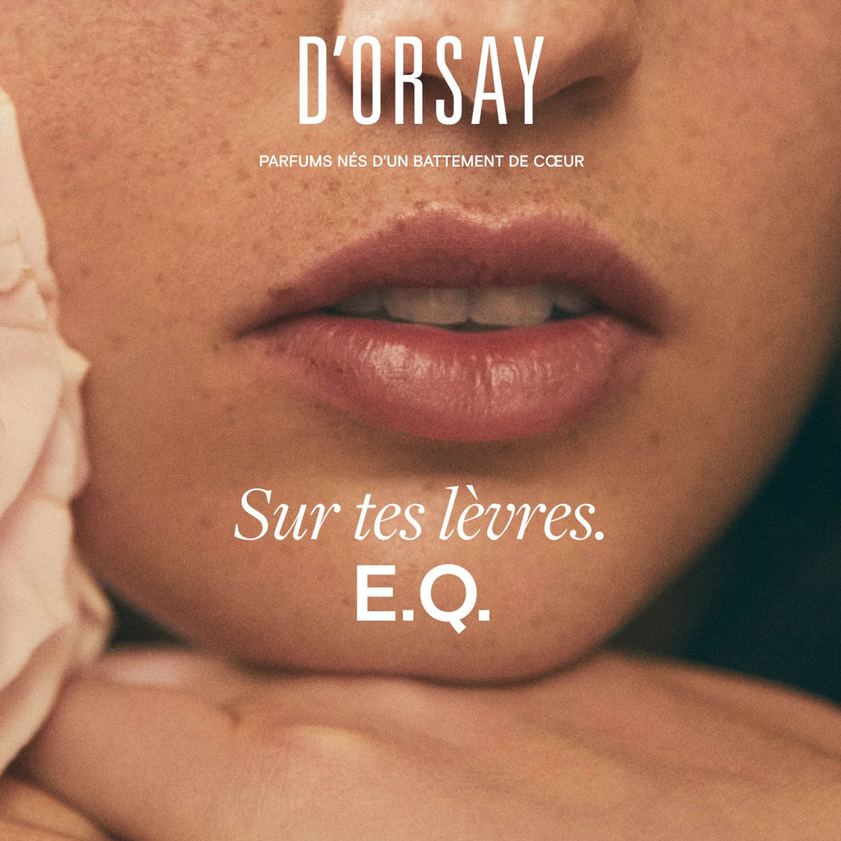 E.Q. Sur Tes Levers