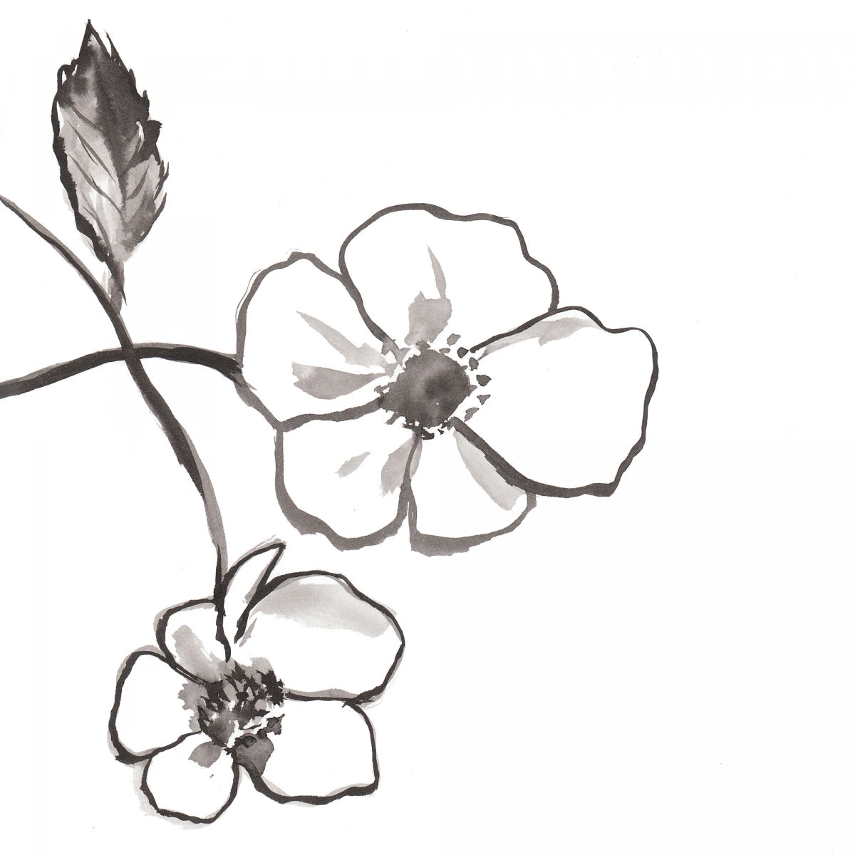 Rosa Rugosa Scented Cartridge