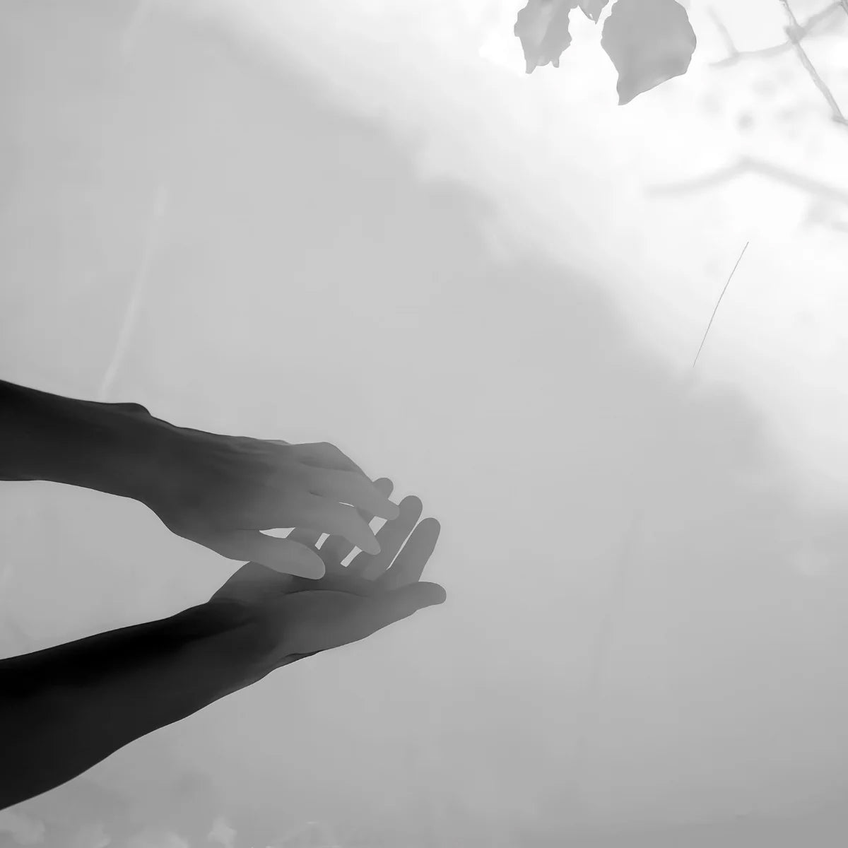 Max Richter 01