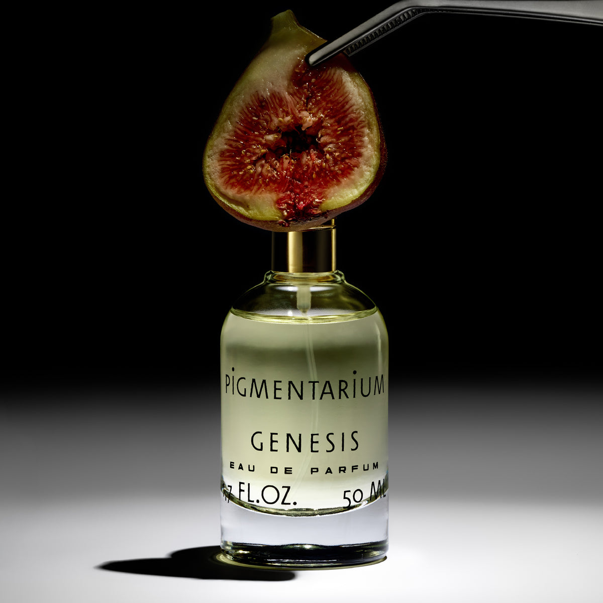 Genesis