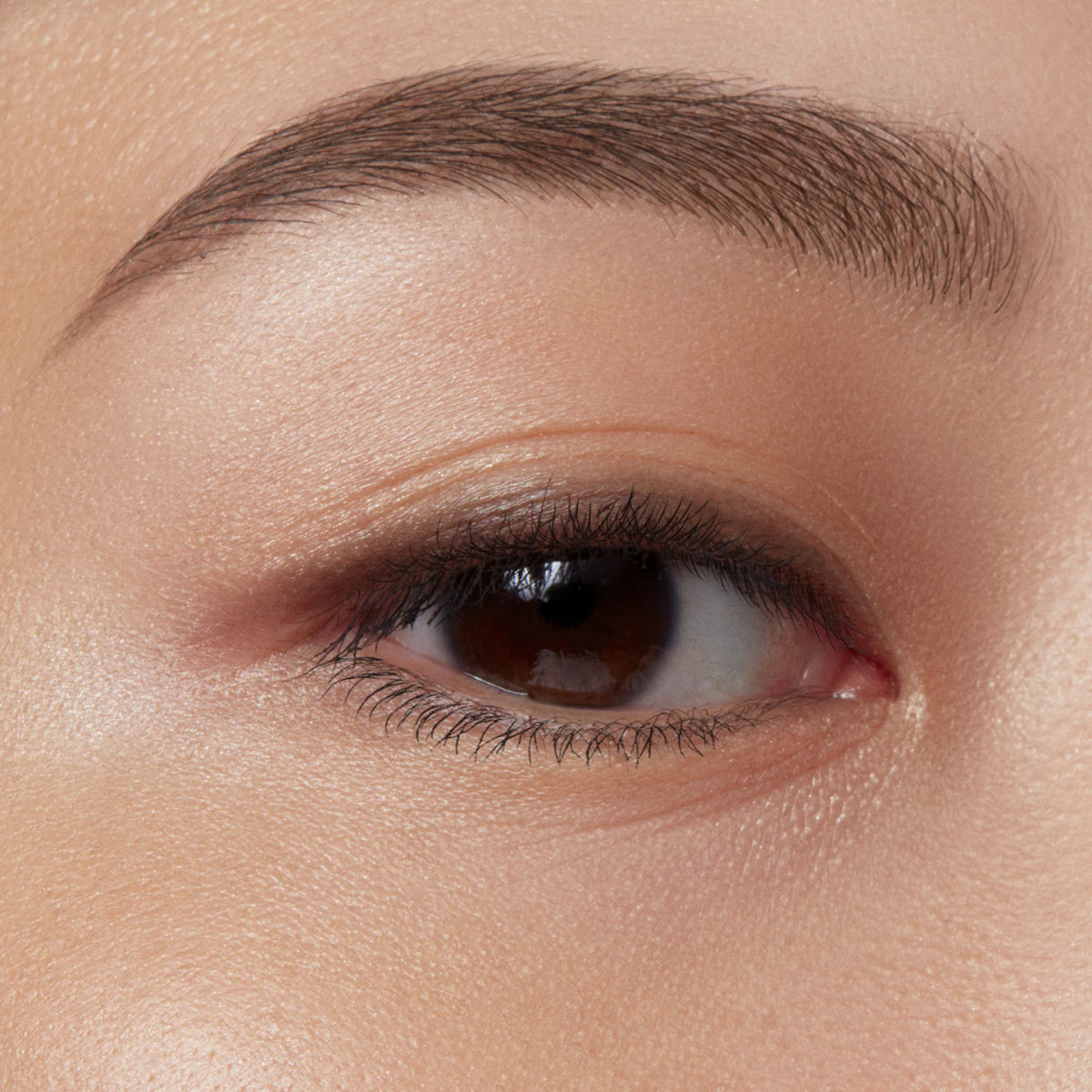 Eye Brow Serum Gel