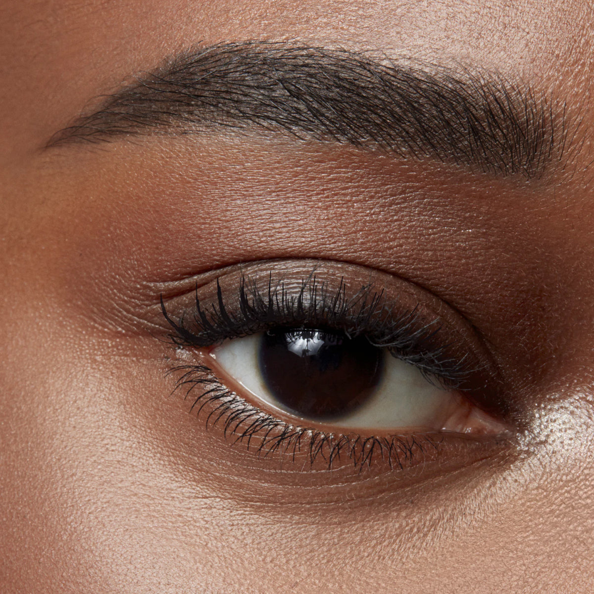 Eye Brow Serum Gel