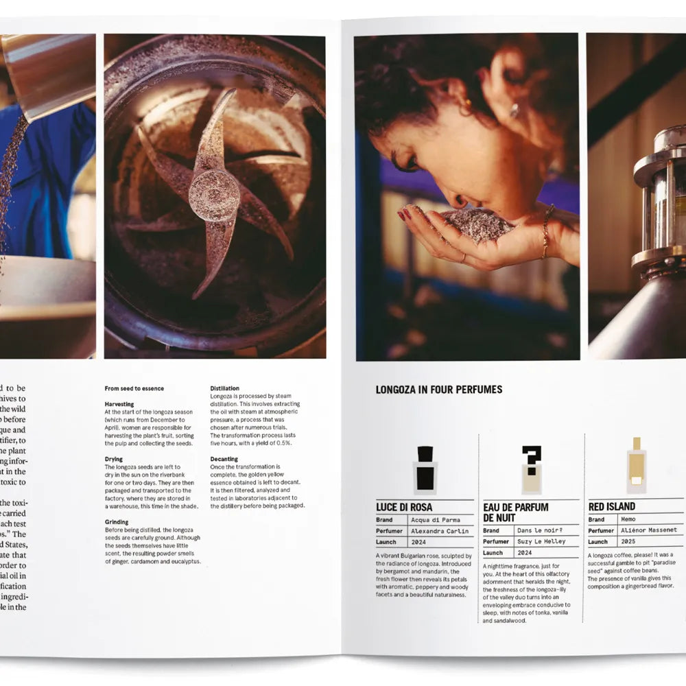 NEZ Magazine #20 - Perfume Stories