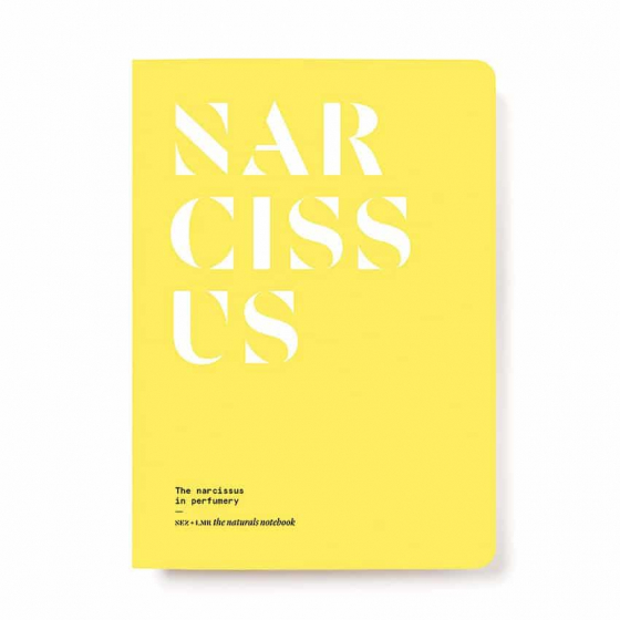 Narcissus in Perfumery - Collective
