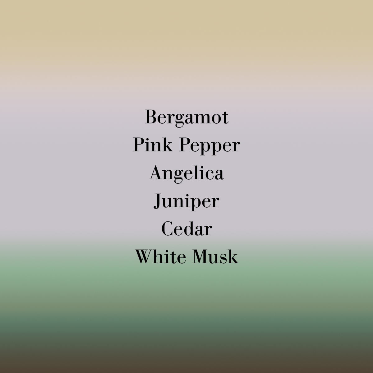 Angeliques sous la Pluie