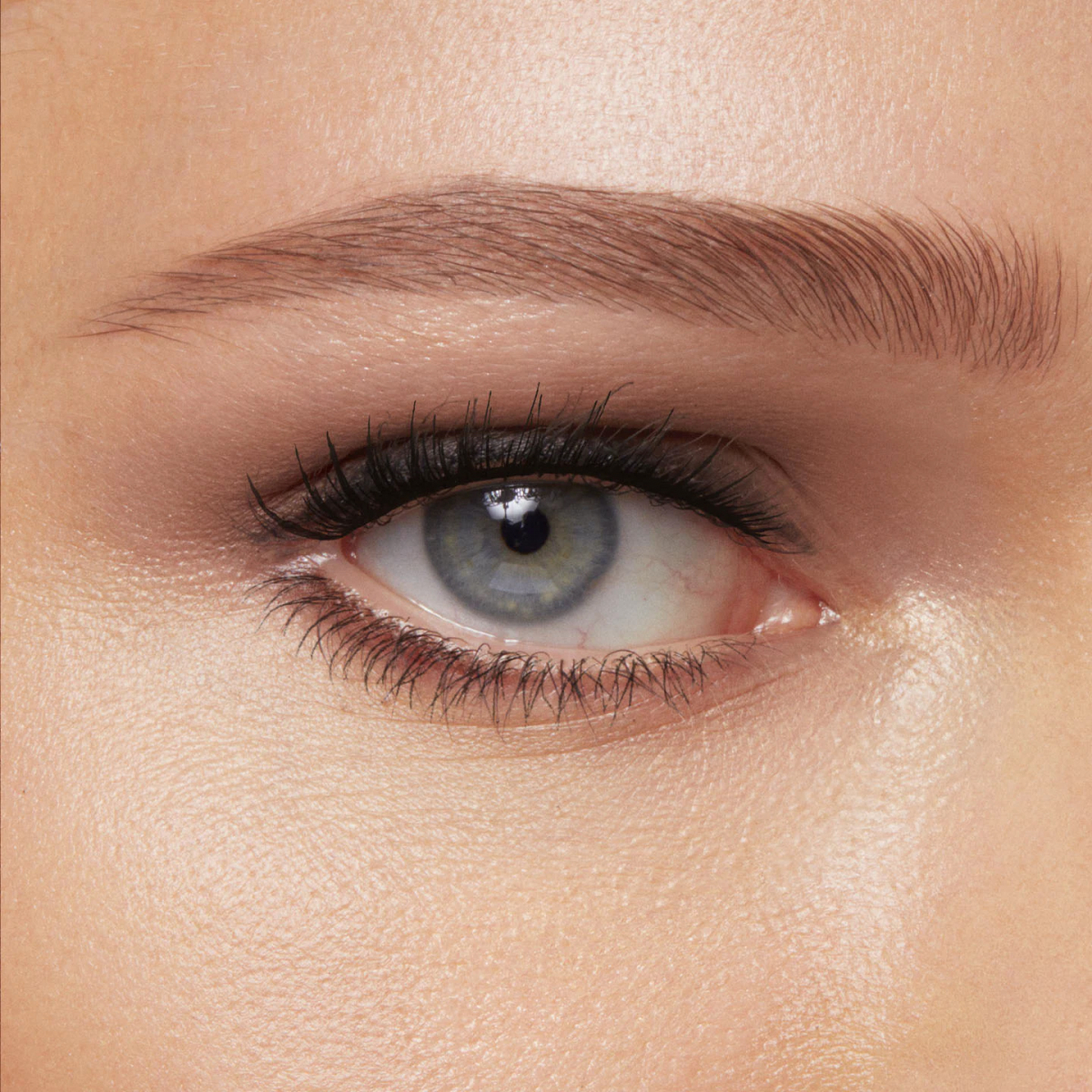 Eyeshadow Palette Refill