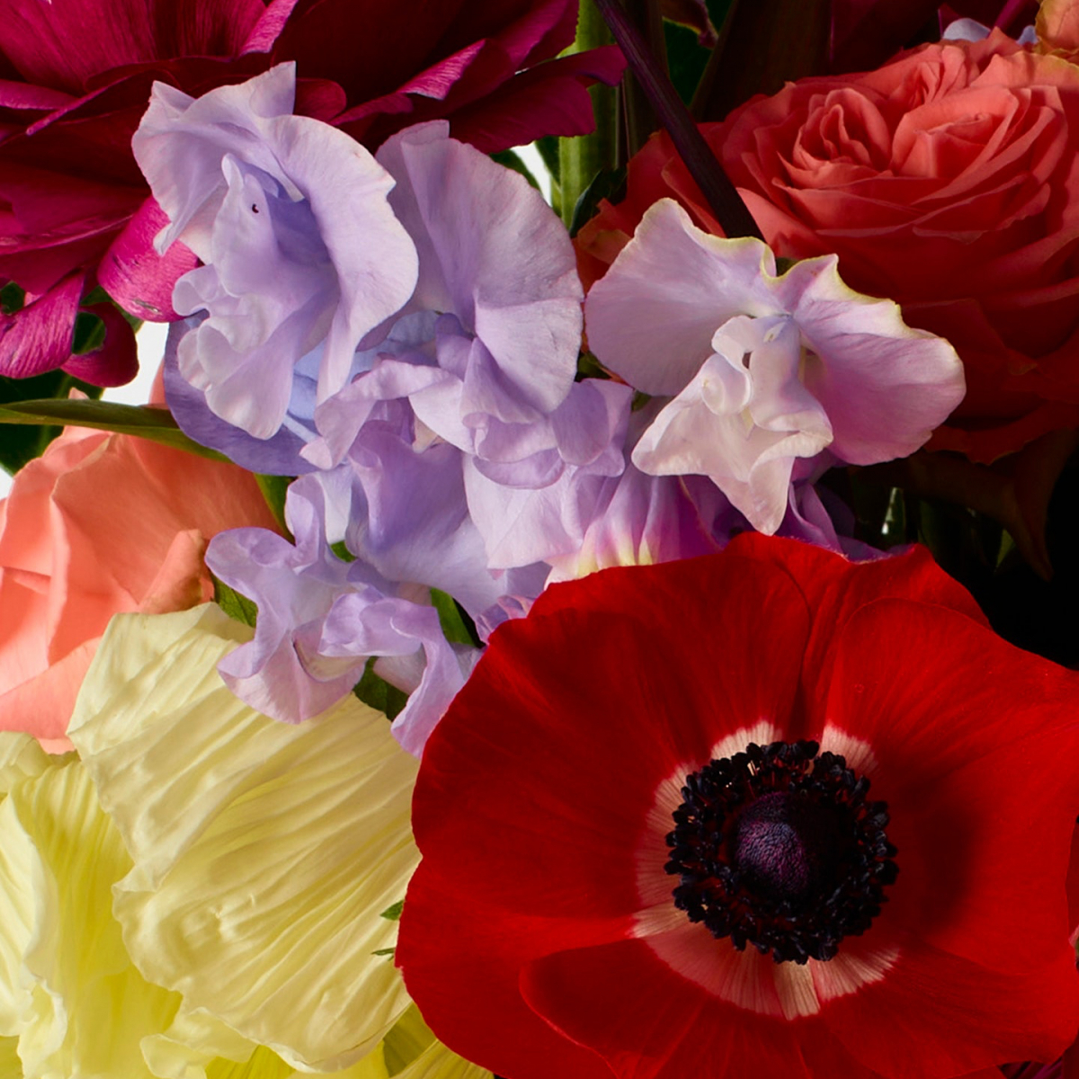 Rose Extrait de Parfum