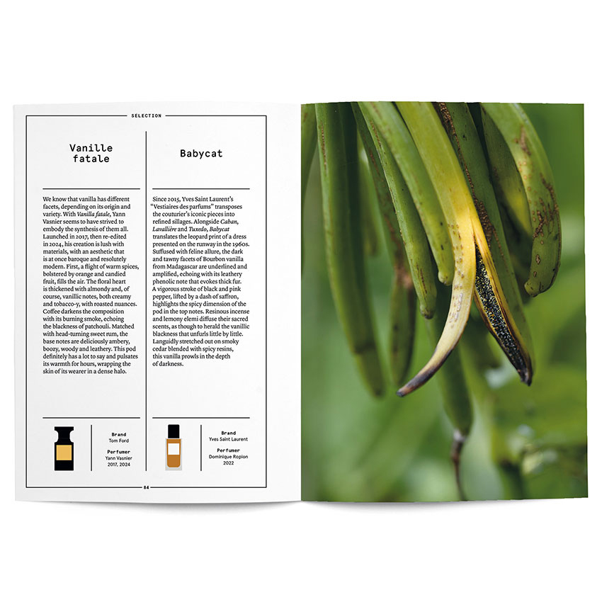 Vanilla in Perfumery - Collective