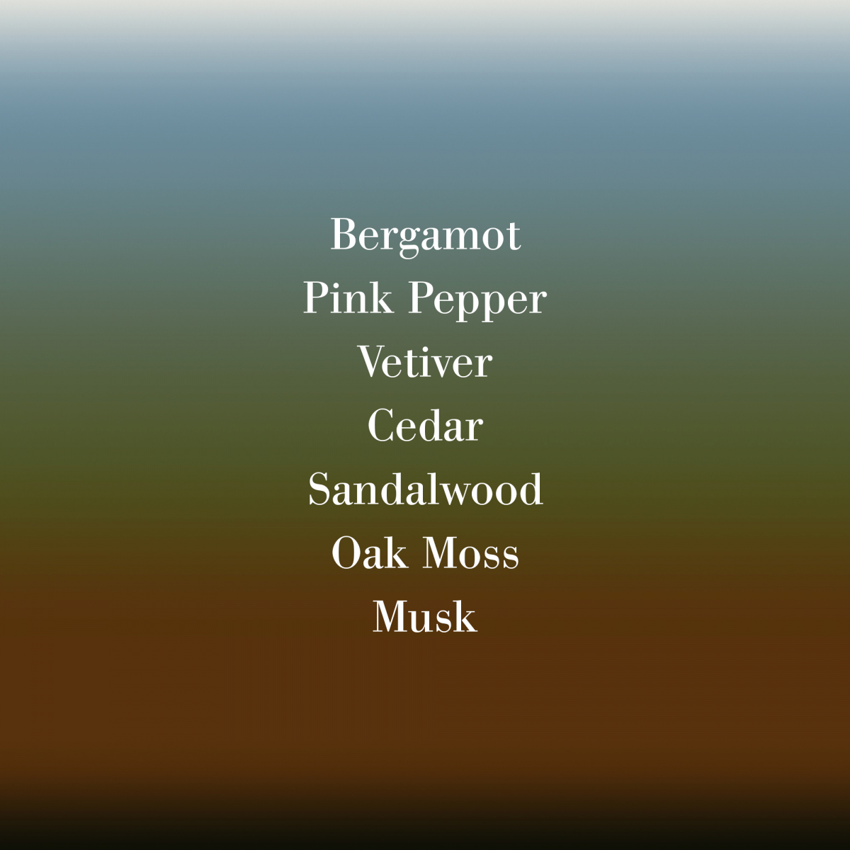 Vetiver Extraordinaire Body Wash