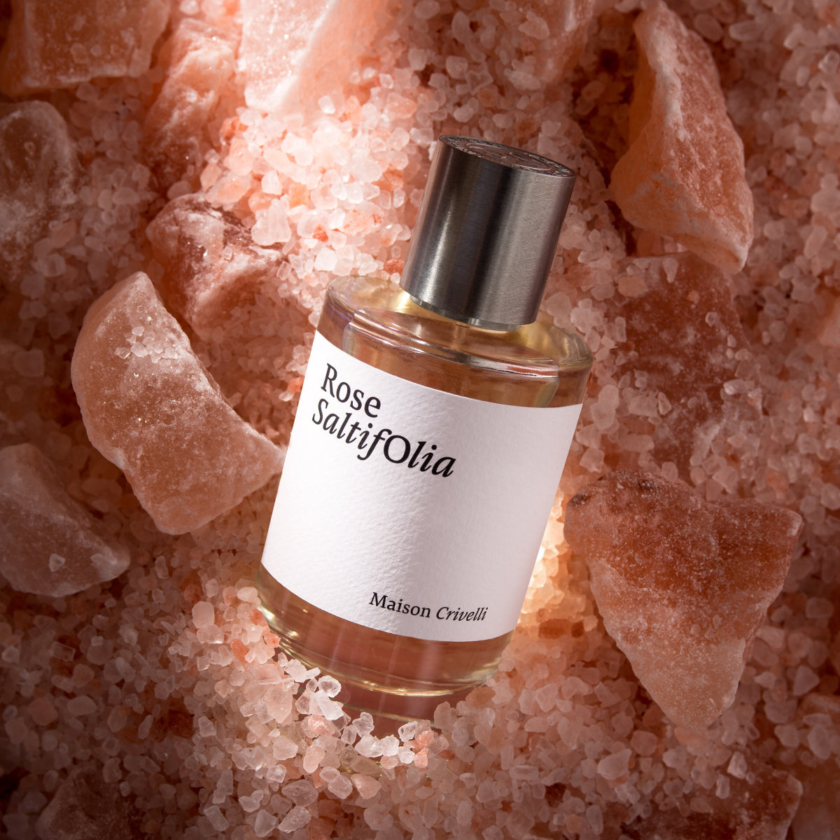 Rose Saltifolia EDP