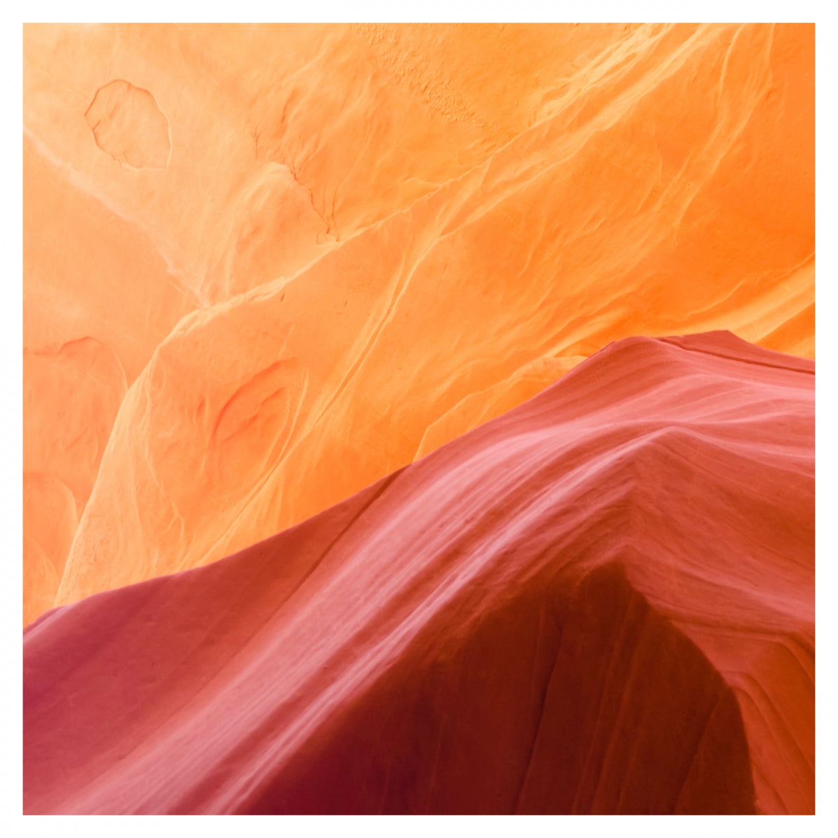 Citrus Batikanga
