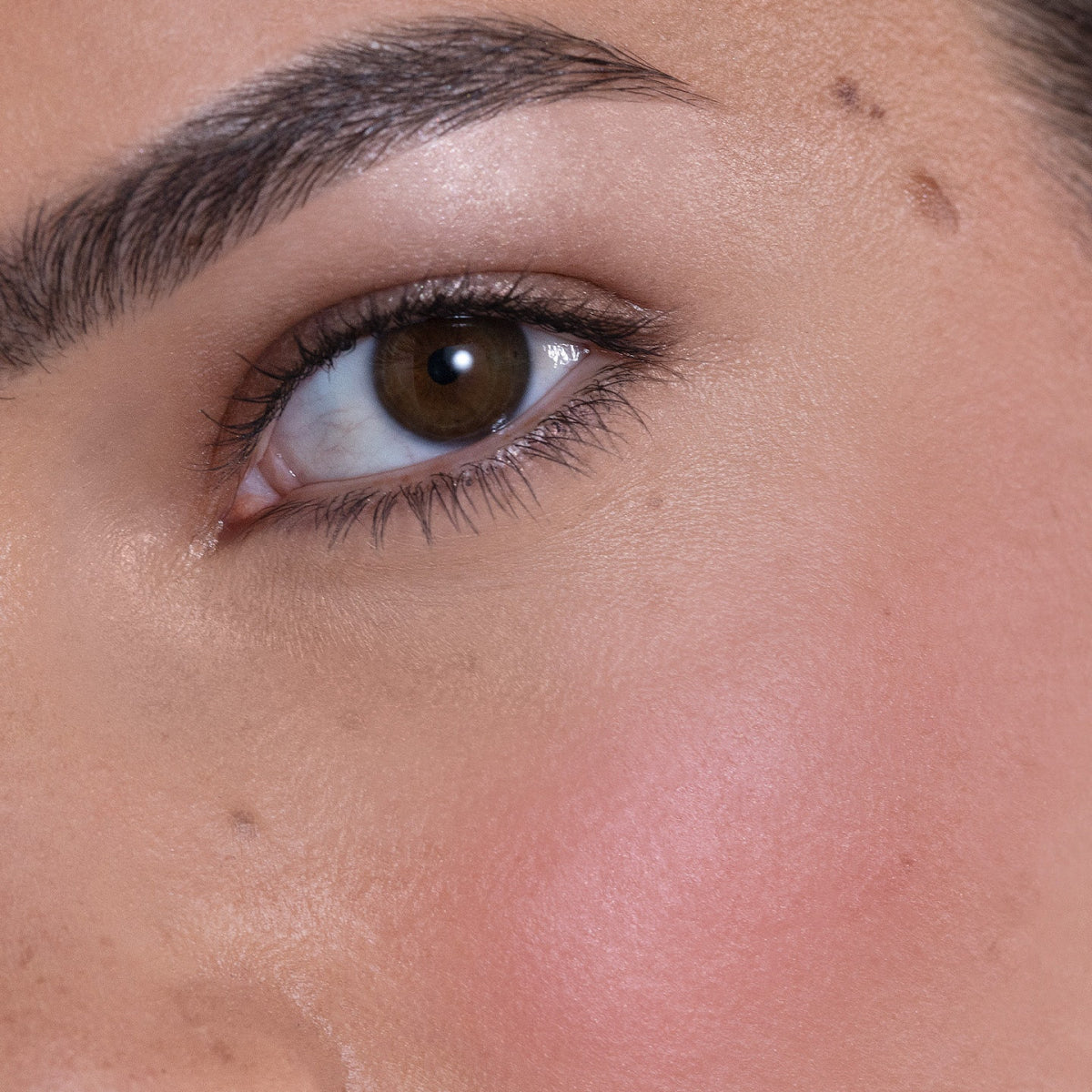 Blush Refill