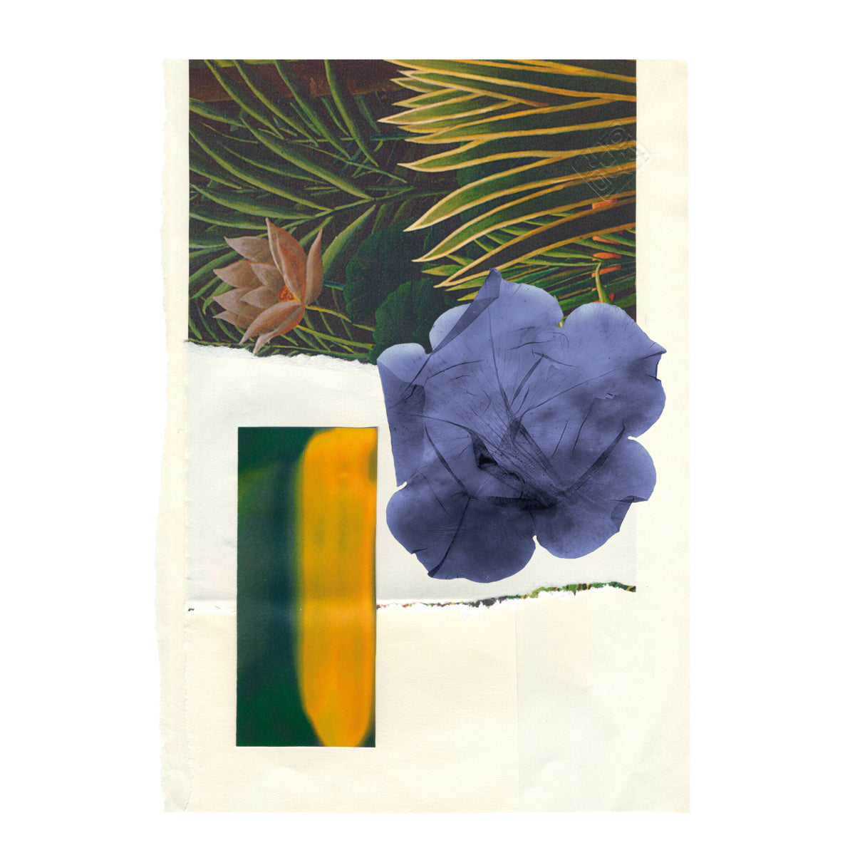 L'ivrée Bleue