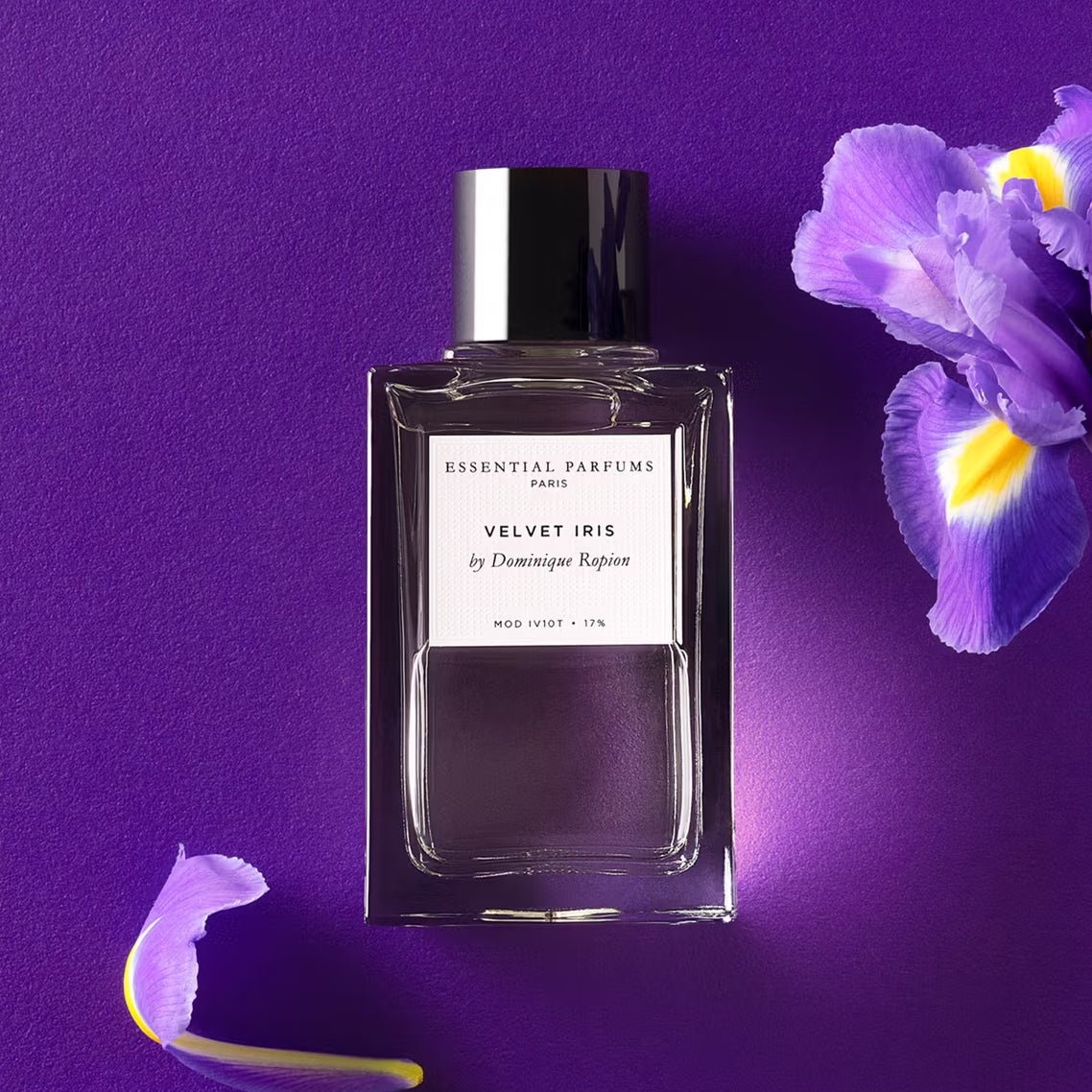 Velvet Iris
