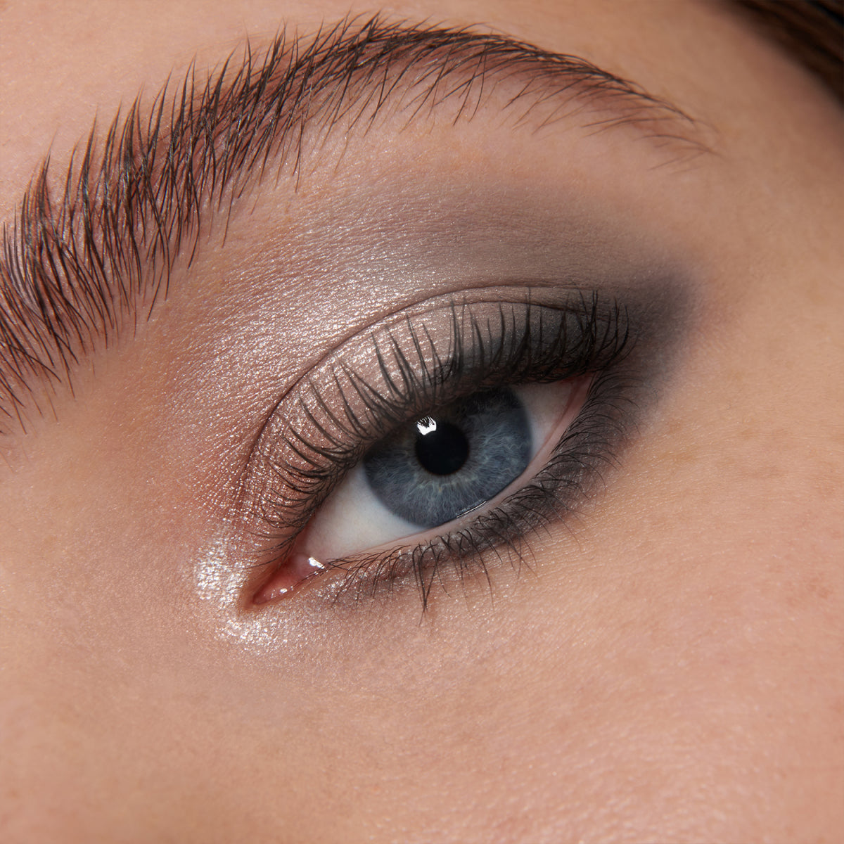 Eye Shadow Palette