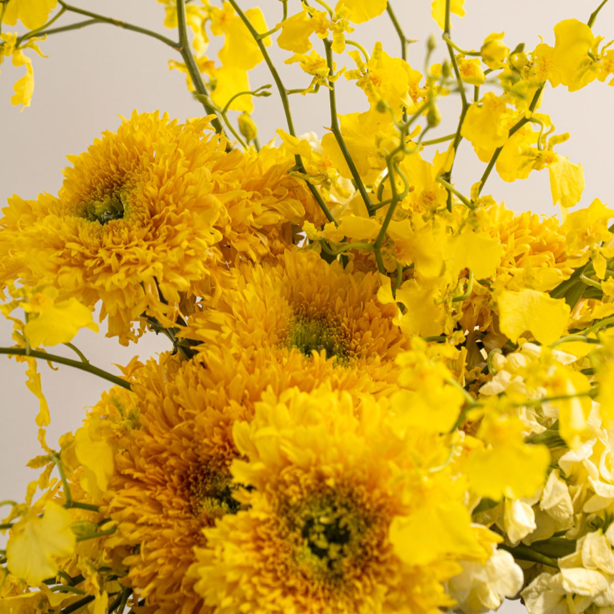 Capri Lumière Jaune
