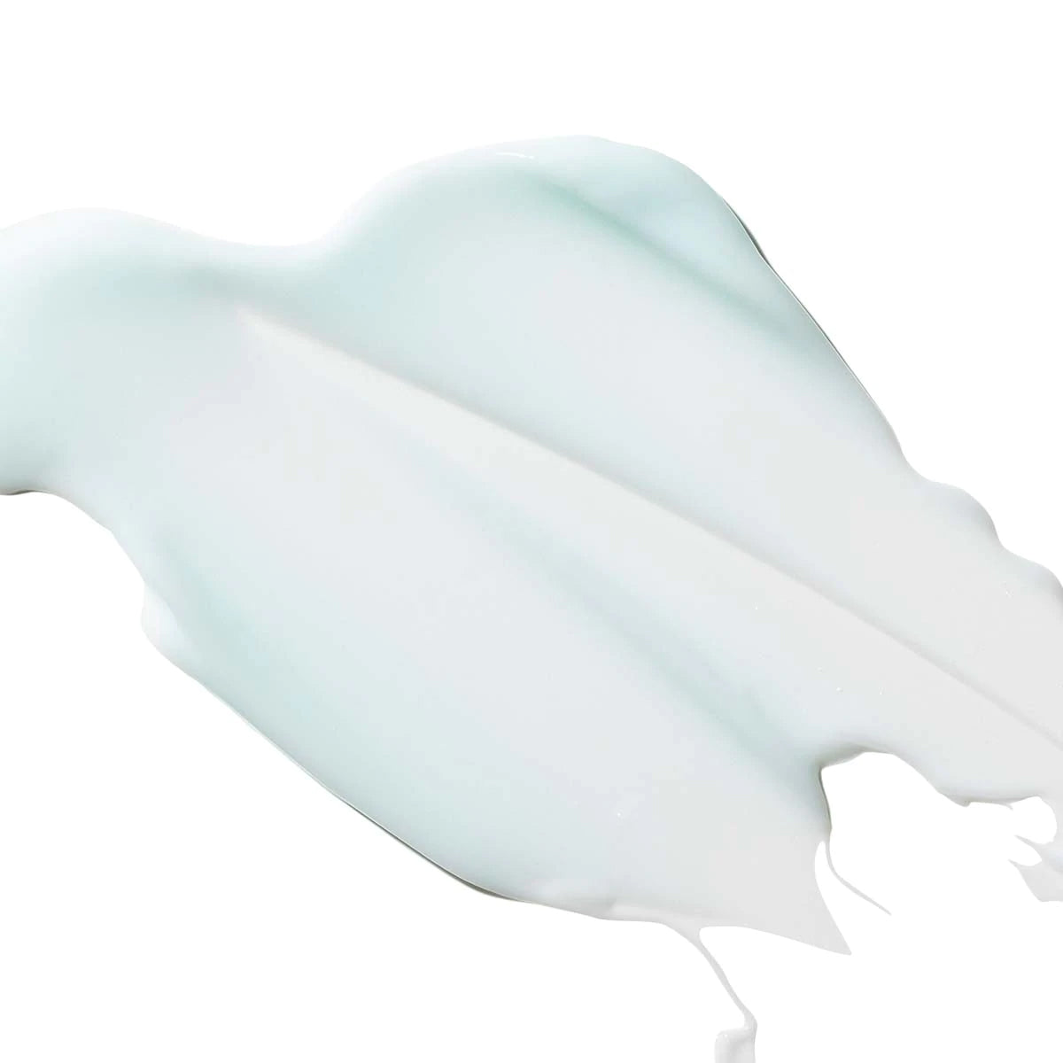 Hyaluronic Marine Oil-free Moisture Cushion