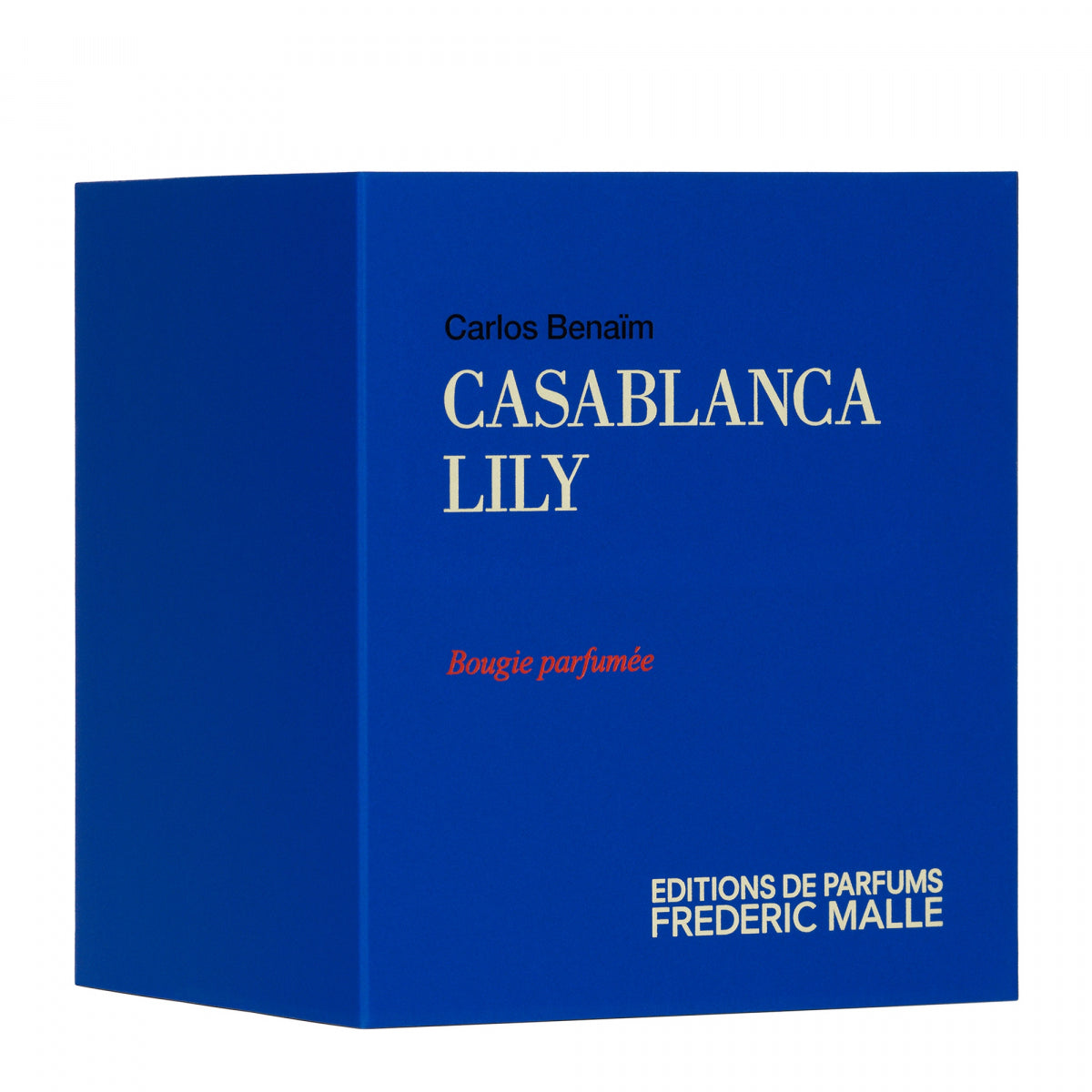 Casablanca Lily