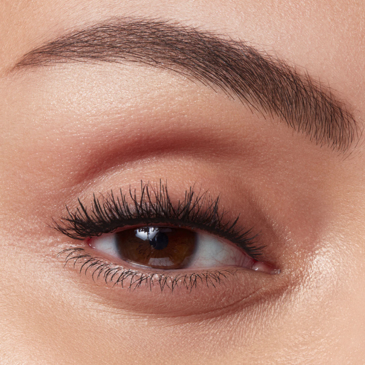 Eye Brow Serum Gel