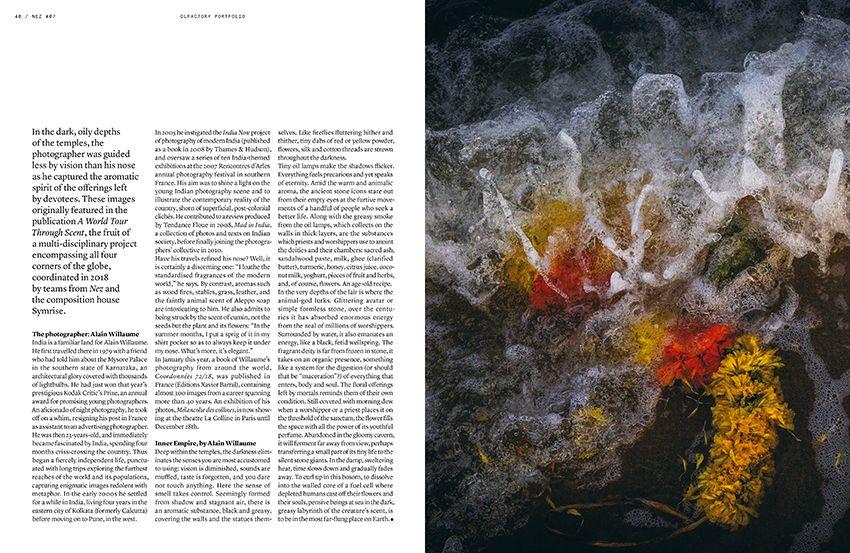 NEZ  Magazine #7- The Animal Sense