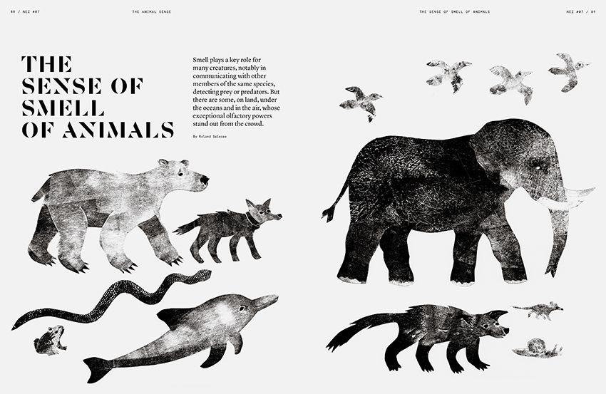 NEZ  Magazine #7- The Animal Sense