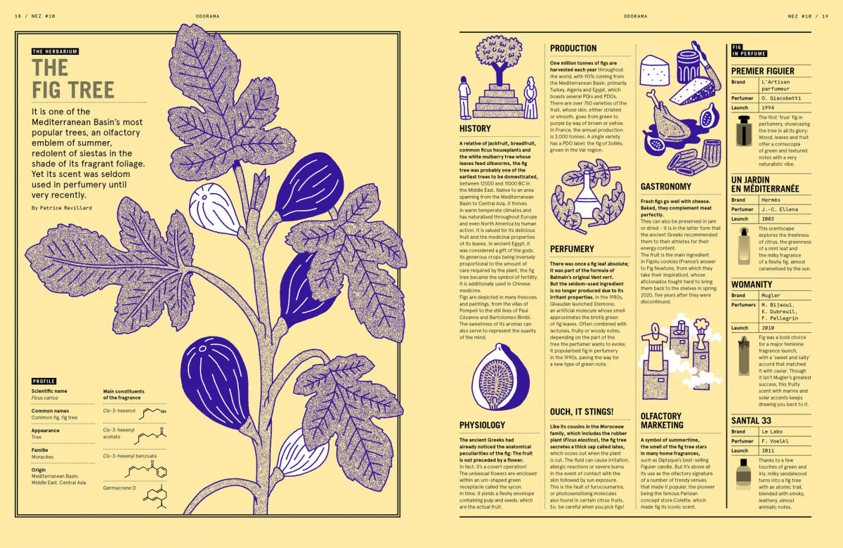 NEZ Magazine- #10 From the Nose to the Mouth