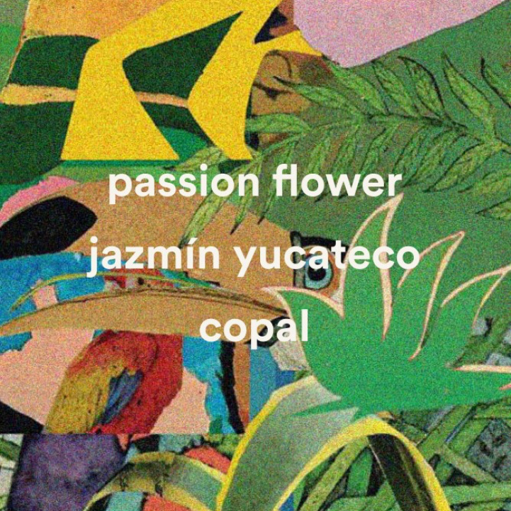 Jazmin Yucatan in the group Fragrance / Perfume at COW parfymeri AB (100758)