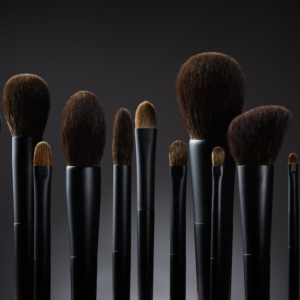 Cheap makeup and 2024 makeup brushes